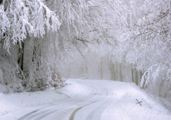 试管和季节有关系吗？冬天还是夏天容易成功？