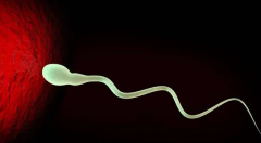 警惕！精子质量对试管成功率的影响超乎想象！