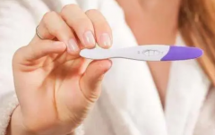 轻松申请！特殊家庭再生育补助全揭秘：试管补助一分钟指南