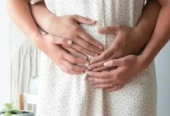 试管备孕必看：科学禁欲时间表+取精技巧大公开