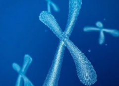 新手爸妈必看！试管取卵后，这七个注意事项助你顺利过渡！