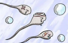 颠覆认知！低评级5bb胚胎移植，着床率同样可期