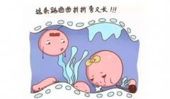 输卵管问题让怀孕变难？试试试管，提升好孕机会！