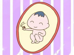 为啥试管移植后HCG涨得慢？胚胎质量可能是个“小绊脚石”