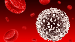 白细胞数量异常，试管移植易“翻车”？了解真相很重要！