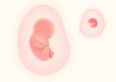 圣地亚哥生育中心试管全攻略：费用一目了然，明细清单大公开！