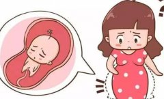 长春三代试管流程，试管技术风险与成功率