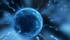 揭秘试管着床后生化风险，学会这几招有效降低概率！