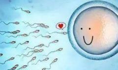 微刺激窦卵泡计数：试管成功的隐形推手！