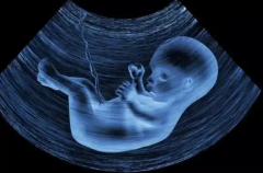 澳门试管攻略大揭秘：3招轻松省大钱，备孕家庭必看！