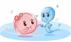 科普试管先天疾病风险，5种疾病较常见！