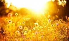 注意！关于试管技术常见的谣言汇总