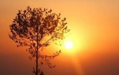 影响衡阳三代试管成功率的因素，衡阳三代试管的风险与注意事项