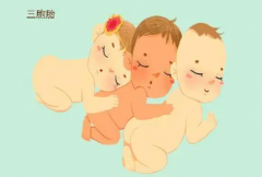 试管三胞胎妈妈必看：为何减胎是保护胎儿健康的关键抉择