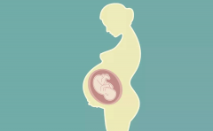 试管ppos方案和拮抗剂方案，有啥不一样？一文带你了解两种方案的取卵