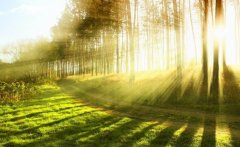 试管移植成功后，减药顺序和开始时间需要谨慎