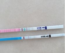 揭秘毓婷与大卫验孕棒：区别有，结果无差！