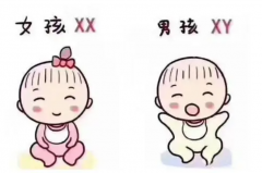 石家庄试管费用大揭秘：2024单周期详细价格清单，不容错过！