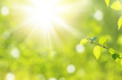 如何提高移植胚胎后hCG水平？减少压力可促进卵巢功能