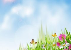 成都试管医院费用解析，注重医生的专业水平和设备条件