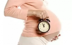 揭秘试管成功率计算法则：妊娠率与活产率详解