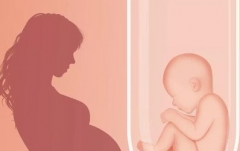 试管过程中维生素的神奇作用，三大好处不可不知！