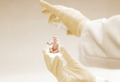 单身人士必看！三代试管费用全解析，教你省钱避坑秘籍