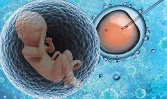 备孕必看！精子活力如何助力试管婴儿成功‌