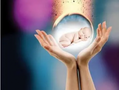 二胎试管冻胚移植全攻略：一步步详解，提前规划省时又省心！