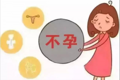 继发性不孕症怎么治？可尝试试管助孕