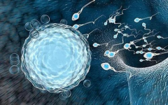 深圳试管花费多少？三代全包不超30万！