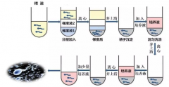 试管精子怎么筛选,在试管中怎么挑选优质精子