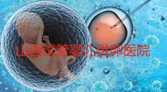 2024年山西有哪些正规的供卵试管医院？成功率是多少？