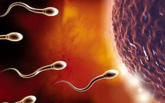 北京三代试管费用全解析，政策红利助你圆梦