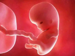 海南助孕生宝费用全解析，精选医院推荐指南！