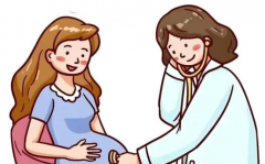 试管成功关键：必备清单大公开，两份核心材料缺一不可！