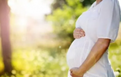 试管成功率深度解析，助你规避潜在风险与问题