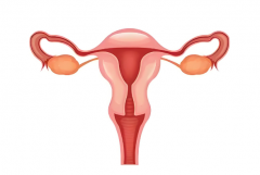 39岁女性子宫次全切能做试管吗？可以去海外做试管吗？