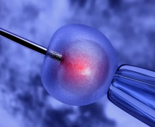 ‌衢州市人民医院试管价格公布，2024年助孕新方案+优势大放送！