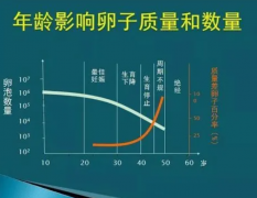 三代试管申请指南：详细条件与快速通道揭秘！