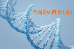 告别色盲遗传，三代试管让你的孩子拥有完美基因！
