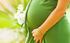 试管取卵不再神秘！详细流程+真实感受，助你从容面对