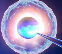 ‌试管移植后，这些早期症状暗示失败可能，你注意到了吗？