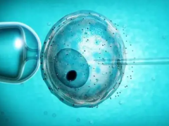 35岁做试管攻略，学会这些方法轻松省钱不少钱！