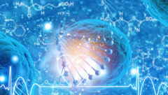 ‌试管取卵后，多吃鸡蛋的5大康复益处，你不可不知！