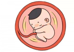 试管囊胚移植必看！这些情况千万别移植，禁忌事项全知道！