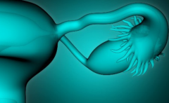 ‌全面解析梧州试管医院排名，费用明细助你规划预算