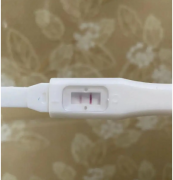 ‌腺肌症患者必看！试管成功案例揭秘，她们是如何做到的？