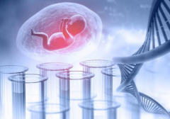 三代试管全攻略：从开始到成功，一步步详解所需时间与流程