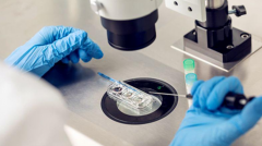 马来西亚试管全攻略2024：三大关键步骤，成功率飙升！